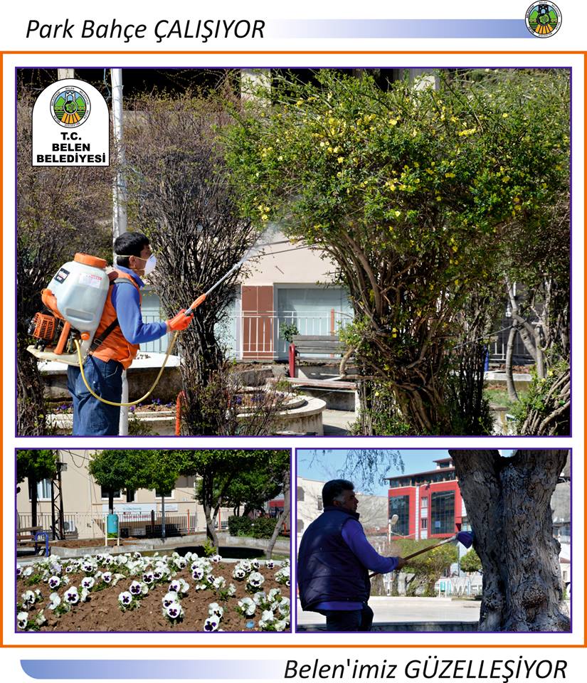 12791052_1286172351406234_5206585059798695423_n