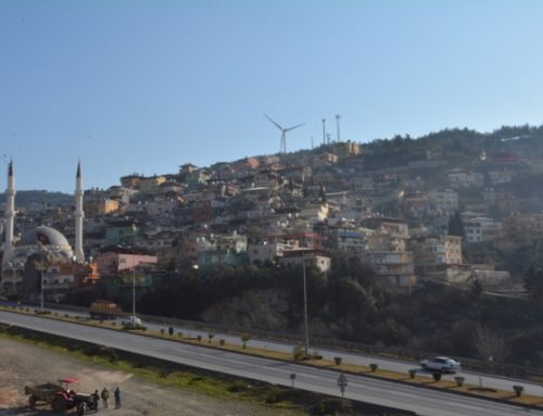 Meal Prep: Korean Bibimbap with Kimchi