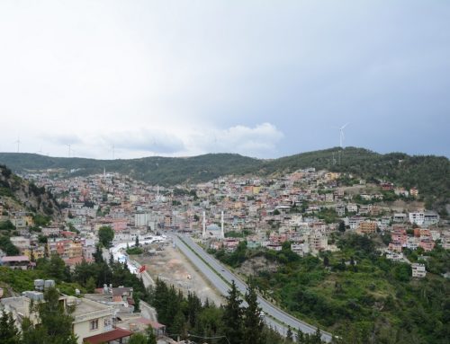 YENİ EĞİTİM ALANLARI
