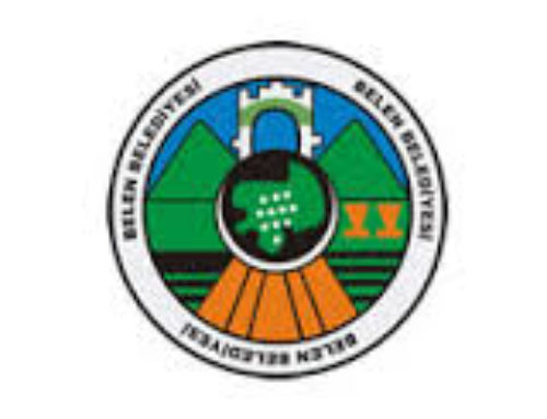 2017 YILI FAALİYET RAPORU